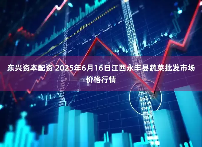 东兴资本配资 2025年6月16日江西永丰县蔬菜批发市场价格行情