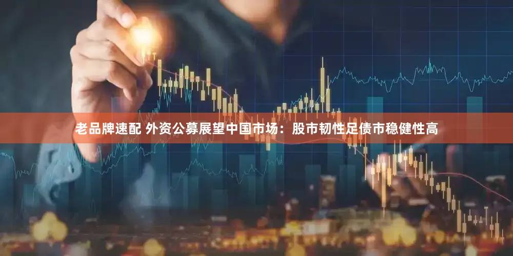 老品牌速配 外资公募展望中国市场：股市韧性足债市稳健性高