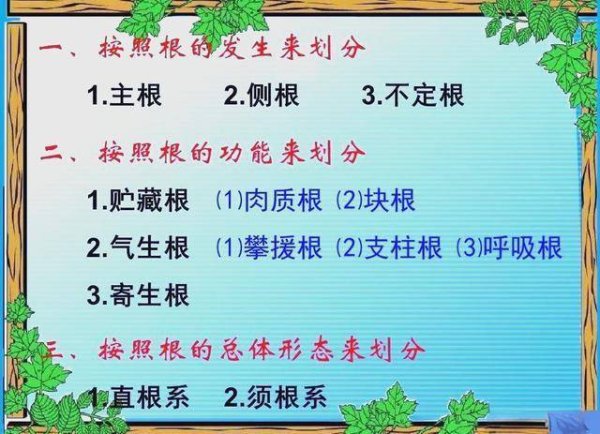 财盛配资 关于植物根茎叶作用，你必须知道！