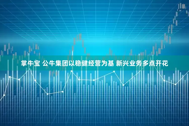 掌牛宝 公牛集团以稳健经营为基 新兴业务多点开花